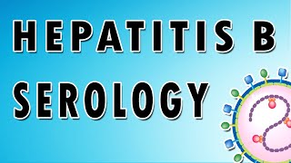 Hepatitis B Serology [upl. by Enitnatsnoc]