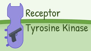 Receptor Tyrosine Kinase  MAPK Pathway [upl. by Ameer]