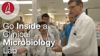 Go Inside a Clinical Microbiology Lab [upl. by Ayhdiv]