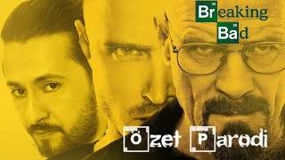 BREAKING BAD  FİNAL SEZONU  ÖZET PARODİ [upl. by Amikahs]