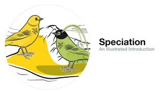 Speciation An Illustrated Introduction [upl. by Wellington]