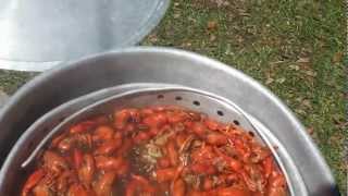 How To Boiling Crawfish Louisiana Style [upl. by Aelrac]