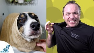 Simple Hacks To Bath Your Dog  Professional Dog Training Tips [upl. by Sam]