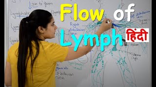 Flow of Lymph in Hindi  Lymphatic Circulatory System  Lymphatic vessels  Lymph Nodes [upl. by Hokanson]