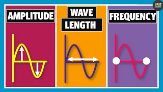 Wavelength Frequency Time Period and Amplitude  Physics [upl. by Htur146]