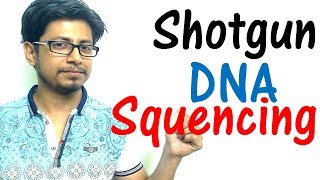 Shotgun sequencing method explained [upl. by Adnesor434]