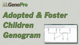 Adopted amp Foster children in genograms [upl. by Notgnillew]