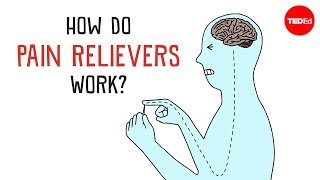 How Do Pain Relievers Work  George Zaidan [upl. by Thain]