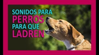 SONIDOS PARA PERROS PARA QUE LADREN [upl. by Kendra495]