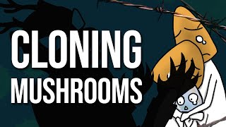 Mushroom Cloning Basics [upl. by Carlin26]