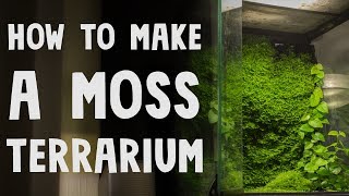 How to Make a Moss Terrarium [upl. by Danita]