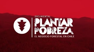 PLANTAR POBREZA EL NEGOCIO FORESTAL EN CHILE  DOCUMENTAL [upl. by Nesline108]