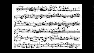 Bach JS violin concerto in A minor BWV 1041 [upl. by Lertnek]