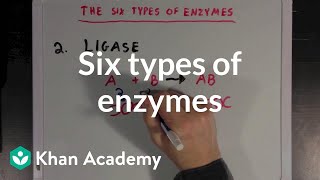 Six types of enzymes  Chemical Processes  MCAT  Khan Academy [upl. by Eatnoid559]