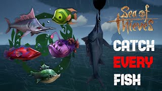 Complete Guide To Catch EVERY Fish  Sea of Thieves [upl. by Neitsabes]