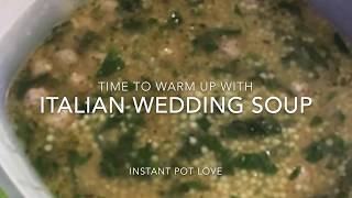 Instant Pot EASY Italian Wedding Soup [upl. by Theda840]