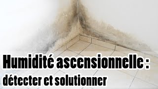 Humidité ascensionnelle  explications identification et solutions [upl. by Dadivitan]