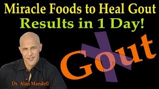 Miracle Foods to Heal Gout  RESULTS IN 1 DAY Dr Alan Mandell DC [upl. by Enorahs12]