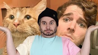 Shane Dawson Did WHAT With His Cat [upl. by Anaer]