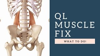 FIX Quadratus Lumborum QL Muscle Back Pain By Following These Exercises amp Tips [upl. by Nona309]