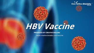 HBV Vaccine  Creative Biolabs [upl. by Melena359]