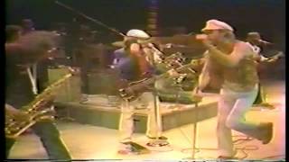 The Beach boys Live 1977 Barbara Ann [upl. by Annette919]