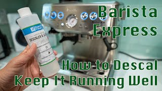 How to Descale Breville Barista Express  To Keep It Running Well [upl. by Aeriel890]