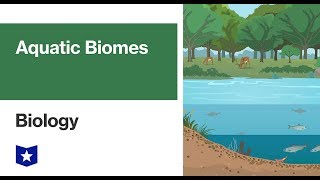 Aquatic Biomes  Biology [upl. by Ameline]