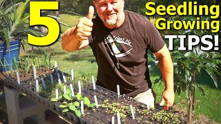 5 Tips on Seed Sowing and Seedling Growing in Trays [upl. by Artinad]