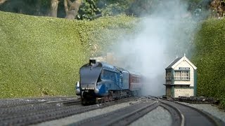 Busy Day at Sutterby  an O Gauge Garden Railway [upl. by Halda]