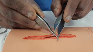 Forceps and Scissors Handling [upl. by Karie]