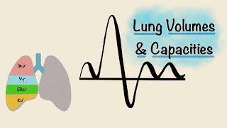 Lung Volumes and Capacities  Spirogram  Spirometry  Respiratory Physiology [upl. by Eahsat]