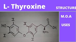 mechanism of action of lthyroxine  uses of l thyroxine  laevo thyroxine  thyroid drugs [upl. by Bertasi]