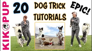 DOG TRICKS  20 Trick Tutorials [upl. by Dimitris371]