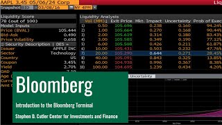 Introduction to the Bloomberg Terminal [upl. by Sauers]