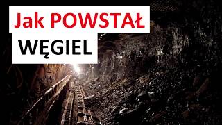 Jak POWSTAŁ WĘGIEL [upl. by Stout]