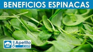 8 Propiedades y Beneficios de las Espinacas  QueApetito [upl. by Syah799]