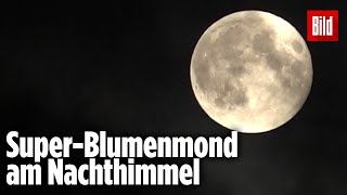 Supermond über Deutschland Das war der größte Vollmond in 2021 Beeindruckende Bilder [upl. by Kramer]