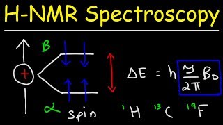 Basic Introduction to NMR Spectroscopy [upl. by Frere]