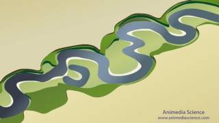 Stream Meanders and Floodplain Formation [upl. by Kaleb651]