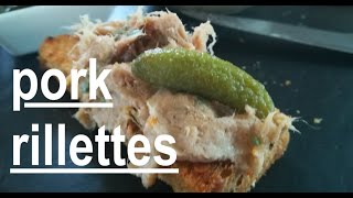 Pork Rillette classic French meat spread [upl. by Wynn919]