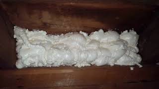 Expanding Foam comparison [upl. by Laddie]