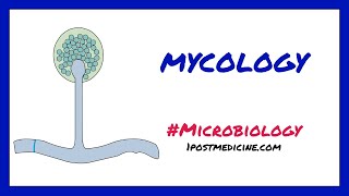 Introduction to Mycology  Microbiology [upl. by Iviv]