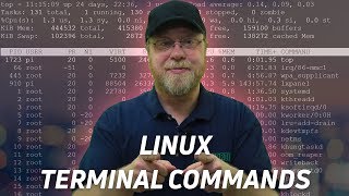 10 Linux Terminal Commands for Beginners [upl. by Tija]