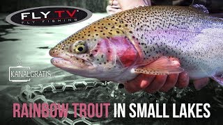 FLY TV  Rainbow Trout Fly Fishing in Small Lakes [upl. by Amoakuh110]