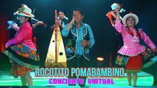 ROCOTITO POMABAMBINO 2020 CONCIERTO VIRTUAL CON LOS COMPADRES DEL CHIMAYCHI [upl. by Akiehsat371]