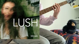 Mitski  Liquid Smooth  Bass Cover [upl. by Rexferd]