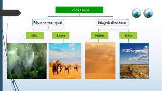 zonas climáticas de la Tierra [upl. by Goldina581]