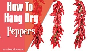 How to string and hang dry peppers [upl. by Briny368]