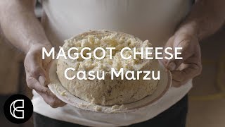 Casu Marzu  The Illegal Cheese That’s Crawling With Maggots [upl. by Cinnamon]